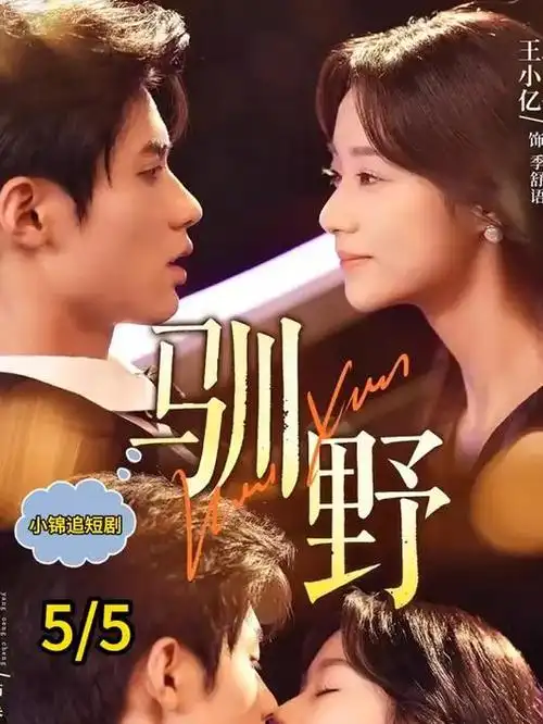 电视剧海报：逆光者